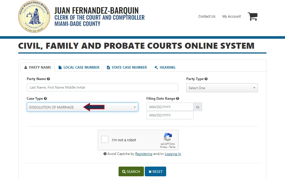 Screenshot of the civil, family, and probate courts online system containing the fields for name, date, case type, party type, and tabs for searches by local case number, state case number, and hearing.